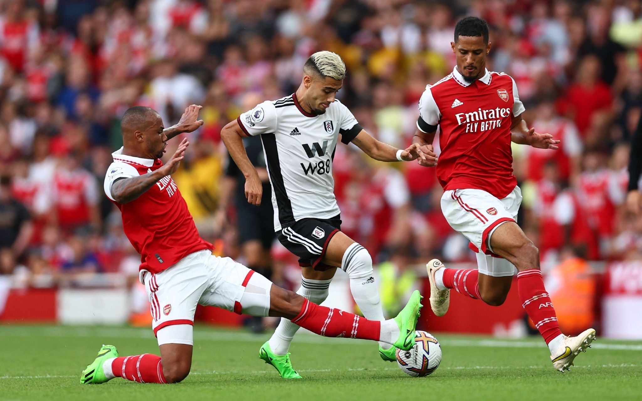 长足优势 长足优势